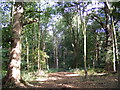 The Nature Trail, Home Park, Hatfield House