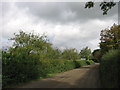 Orchard and milking shed, Court Barn Farm