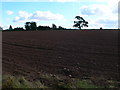 Ploughed field near Alderton