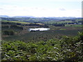 Lochan near Mochrum Bridge