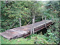 NS3466 : Footbridge, Gotter Water by wfmillar