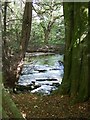 Bryngarw Country Park, Brynmenyn