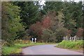 The Conagher Road near Ballymoney (3)