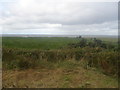 Lough Neagh from Derrycrow Road