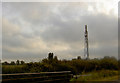 Telecommunication mast adjacent M69 motorway on Hinckley Road