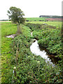 Stream near Annan