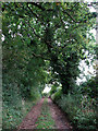 Approaching Whitwell Road