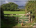 Hen and gate, Meeth