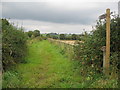 Bridleway off Kilkenny Lane