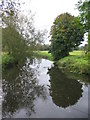 The River Brue at West Lydford