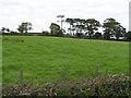 H9292 : Annaghmore Townland by Kenneth  Allen