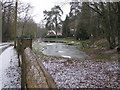 Fullers Vale Pond