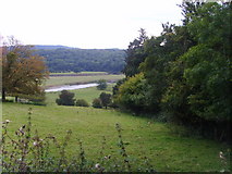 SJ6104 : Towards Leechmeadow Cottage by the River Severn by A Holmes