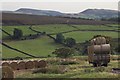 Straw Bales on the roadside