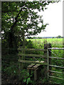 Footpath to Little Wood