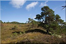 NH2424 : Nature Reserve near Loch an Eang by Douglas R McKenzie