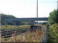 Bessemer Way Bridge