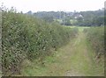 Footpath towards Pallance Farm