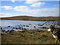 NF7839 : Loch Clach an Duilisg by Rupert Fleetingly
