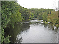 NY1176 : River Annan near Dalton by Oliver Dixon