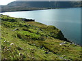 NB1301 : Shoreline on Loch A Siar by Dave Fergusson