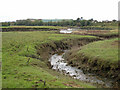 Tidal creek and the Annan estuary