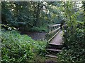 Bridge over stream, Kennford