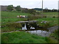 Footbridge at Llidiardau Bach