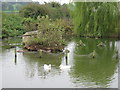 Duck Pond, Manor Farm, Cowhill