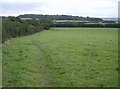 Farmland south of South Thorness Farm