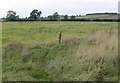 Countryside off Welham Lane