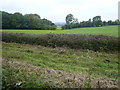 View from dismantled railway track next to Brierley Forest Park