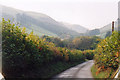 Severn Way near Llwyn-derw