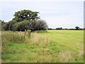 Wimboldsley - View from School Lane