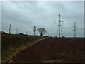 A tangle of pylons