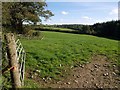 Field beside Mussel Brook