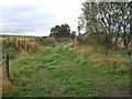 Looking down-line on old Deeside Railway route