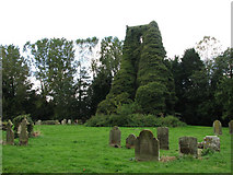 TG0229 : St George's ruin and cemetery by Evelyn Simak