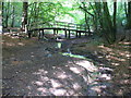 Footbridge in Sewer