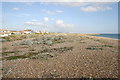 View East along Shoreham Beach