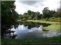 Pond near Holbeck Manor