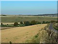 Farmland near Aldbourne Warren, Wiltshire