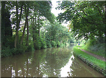 SJ8458 : Macclesfield Canal, near Ackers Crossing, Cheshire by Roger  Kidd