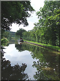 SJ8458 : Macclesfield Canal, near Ramsdell Hall, Cheshire by Roger  Kidd