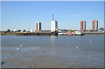 TQ4379 : River Thames: Woolwich Ferry by Nigel Cox
