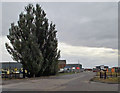 Old Perimeter Taxi-way, North Killingholme