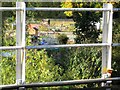 Allotments viewed from railway bridge