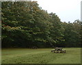 Picnic area in Minwear Wood