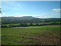 Countryside towards Clee Hill