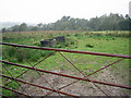 Boggy field by road junction